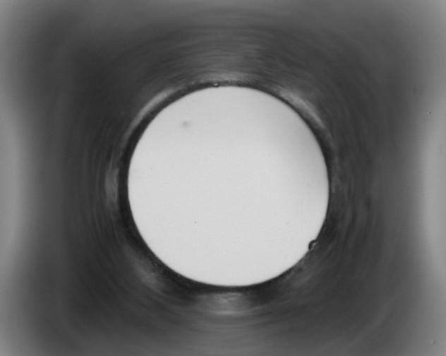 X0000086330108200704202049