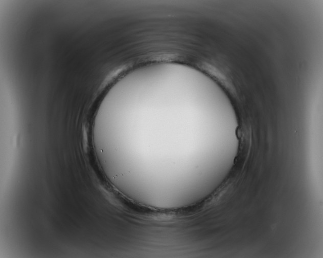 X0000086330110200704202049