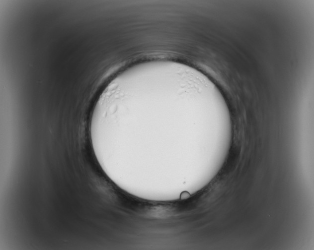 X0000086330111200704202049