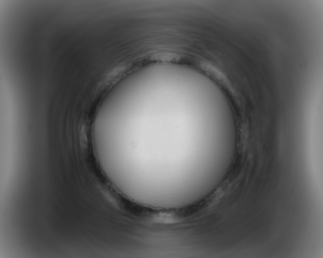 X0000086330114200704202049