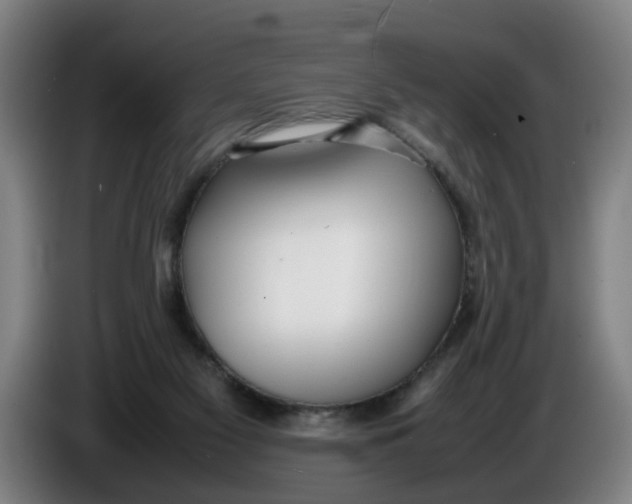 X0000086330117200704202049