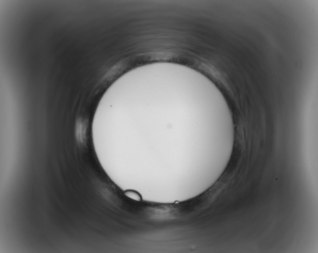 X0000086330118200704202049