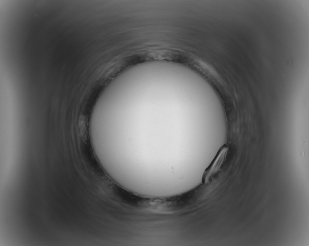 X0000086330121200704202049