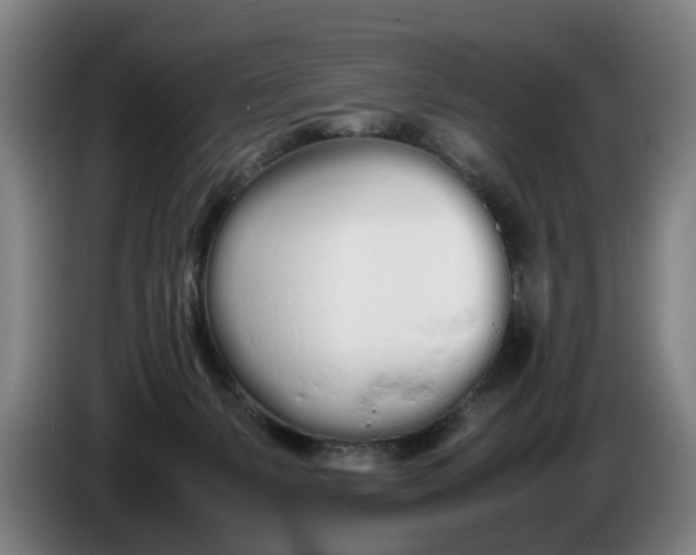 X0000086330127200704202049