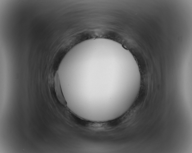 X0000086330129200704202049