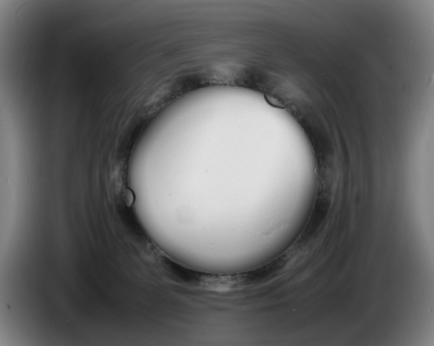 X0000086330131200704202049