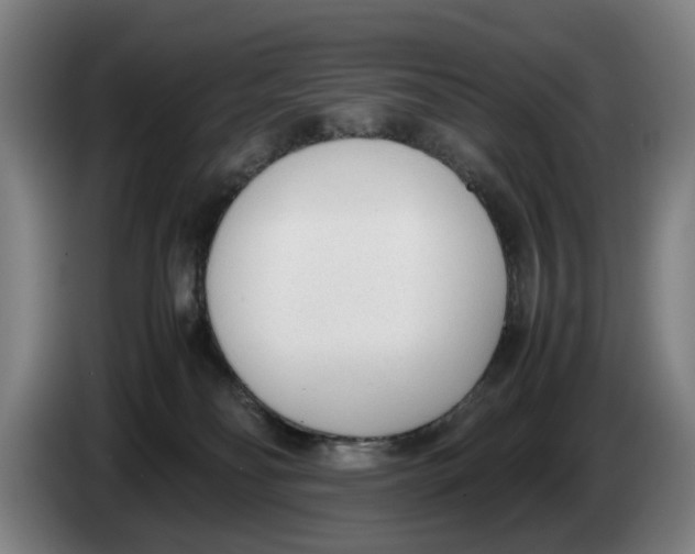 X0000086330134200704202049