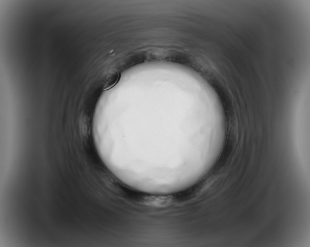 X0000086330135200704202049