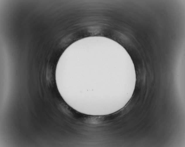 X0000086330136200704202049