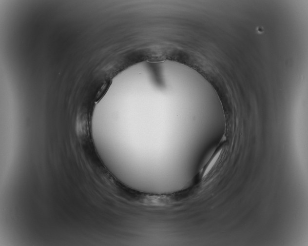 X0000086330137200704202049