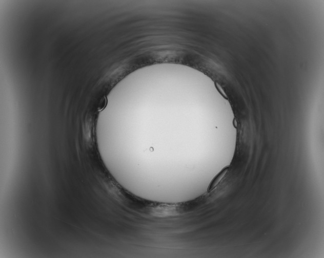 X0000086330138200704202049