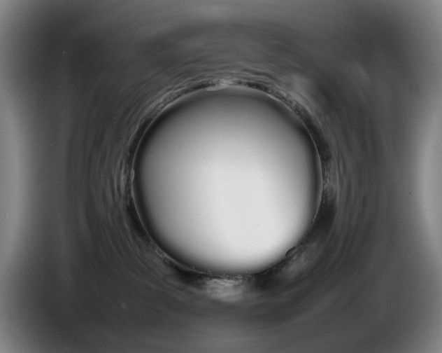 X0000086330139200704202049