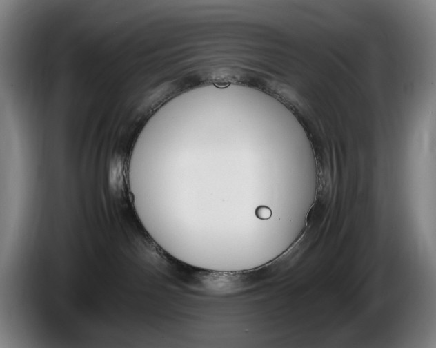 X0000086330142200704202049