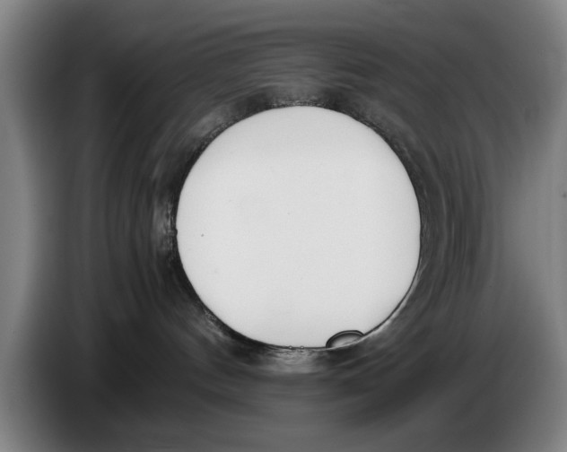 X0000086330144200704202049