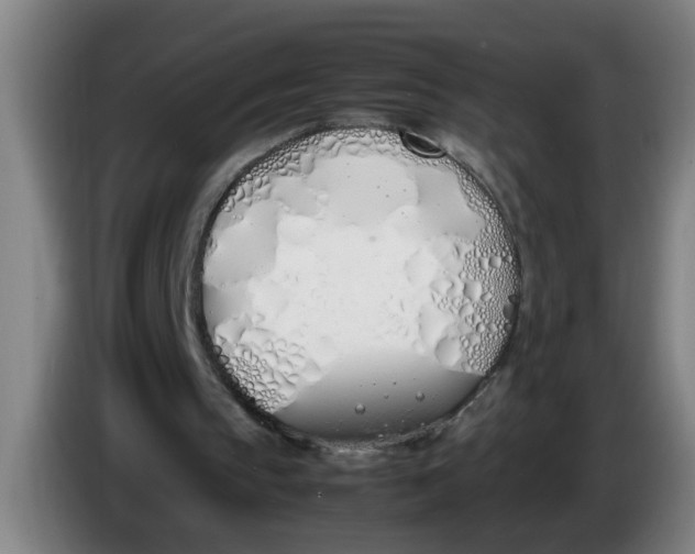 X0000086330145200704202048