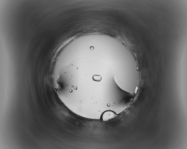 X0000086330146200704202048