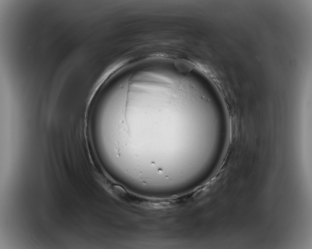 X0000086330147200704202048