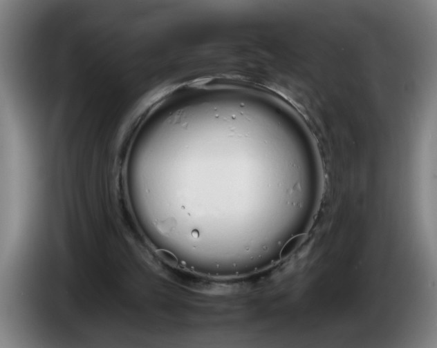 X0000086330149200704202048