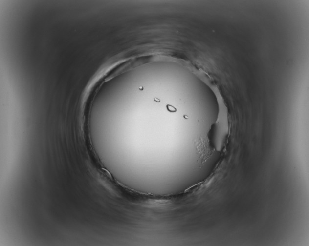 X0000086330150200704202048