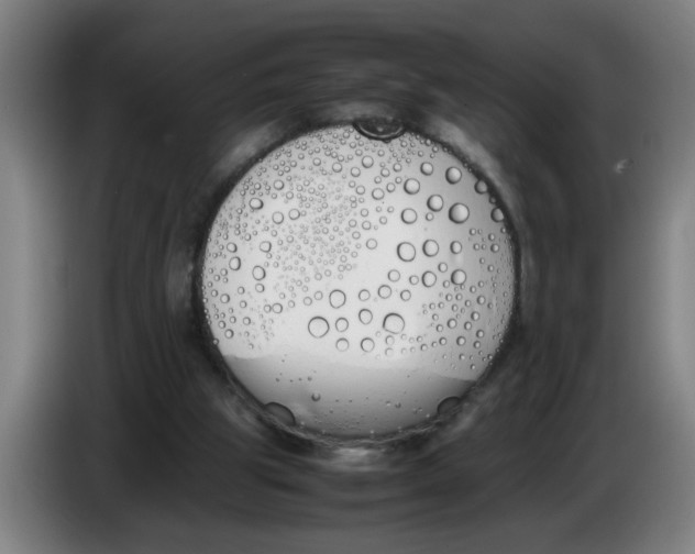 X0000086330153200704202048