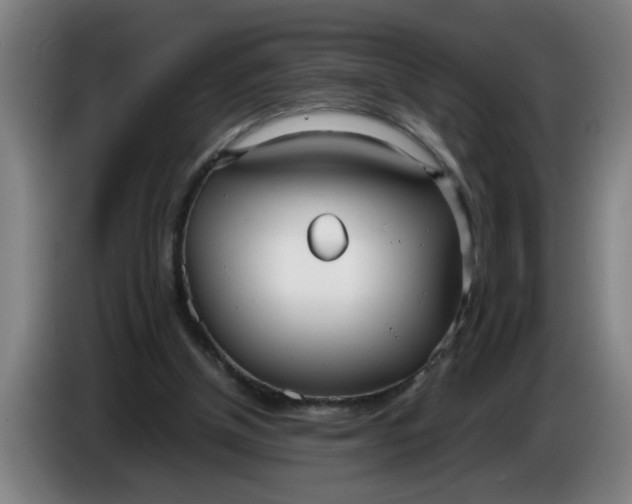 X0000086330154200704202048