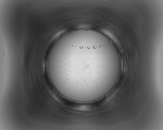 X0000086330157200704202048