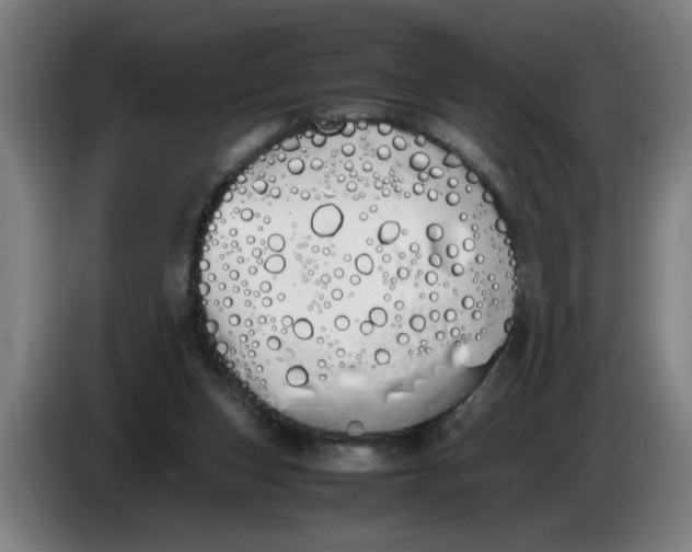 X0000086330159200704202048