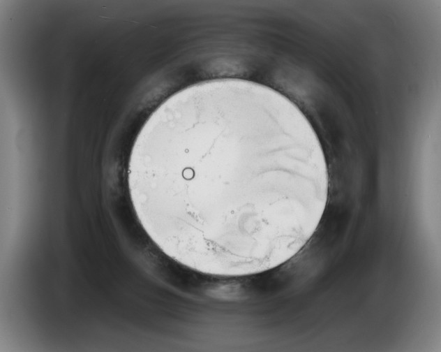 X0000086330162200704202048