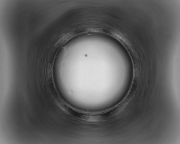 X0000086330165200704202048