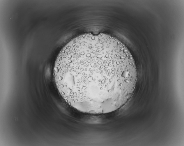 X0000086330166200704202048