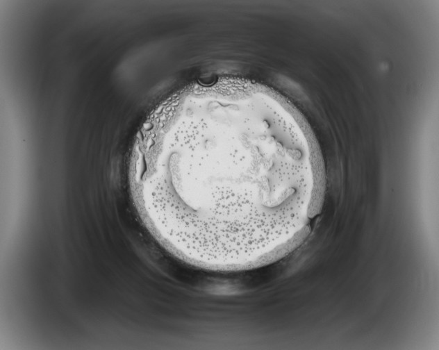 X0000086330167200704202048