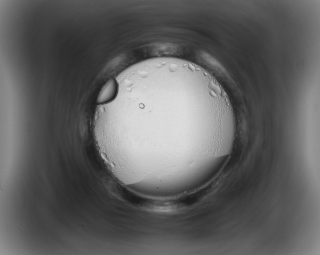 X0000086330169200704202048