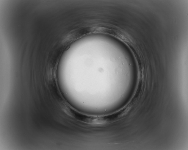 X0000086330173200704202048