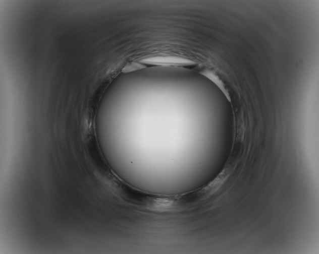 X0000086330176200704202048