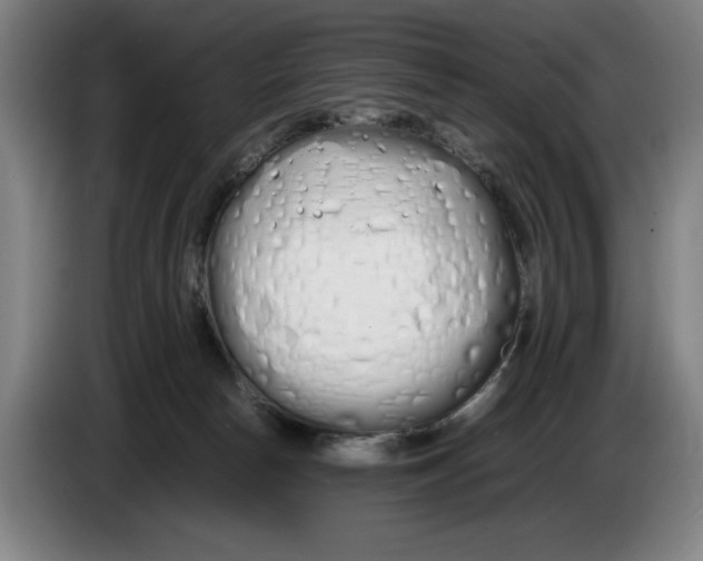 X0000086330178200704202049