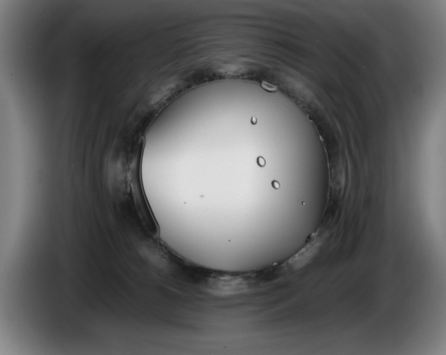 X0000086330180200704202049