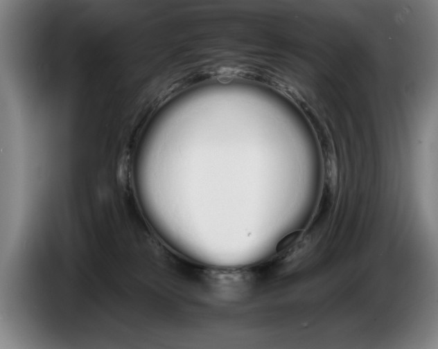 X0000086330181200704202049