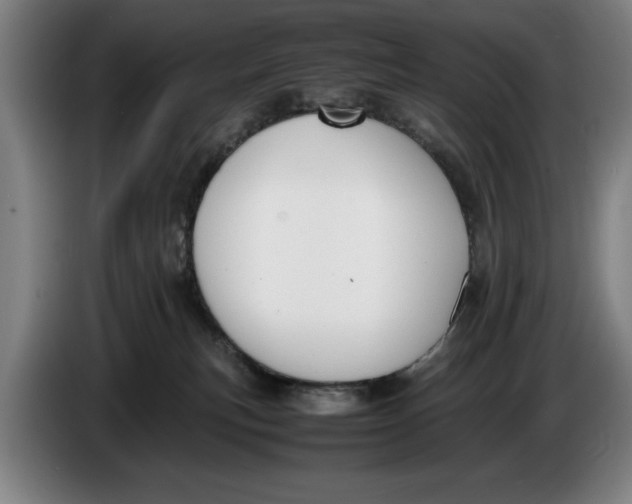 X0000086330183200704202049