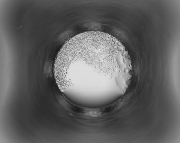 X0000086330185200704202049