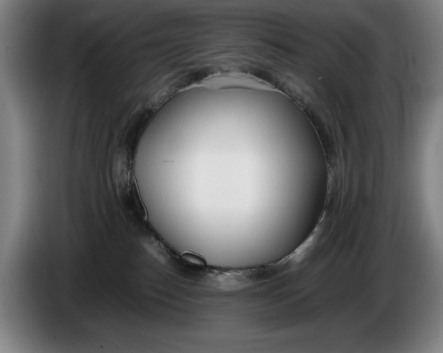 X0000086330186200704202049