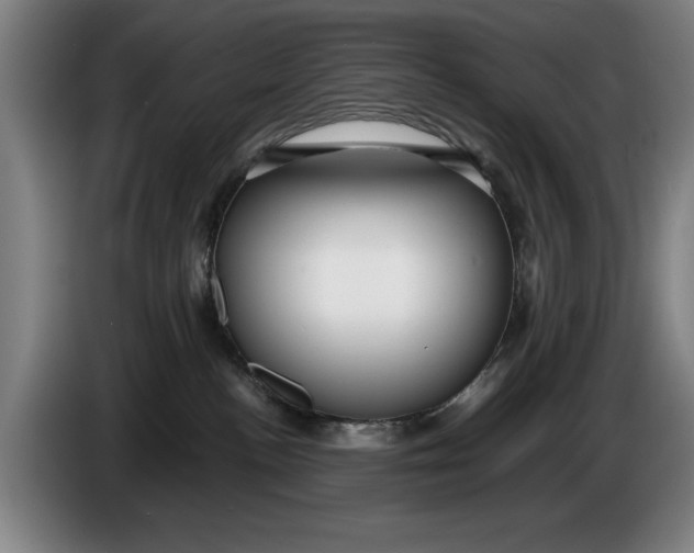 X0000086330188200704202049