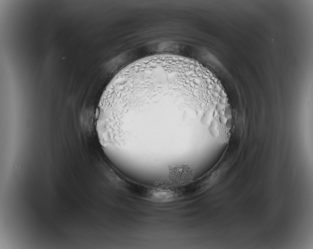 X0000086330189200704202049