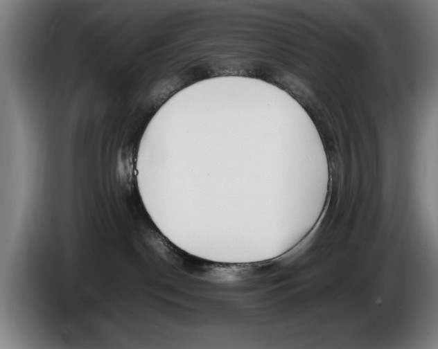 X0000086330190200704202049