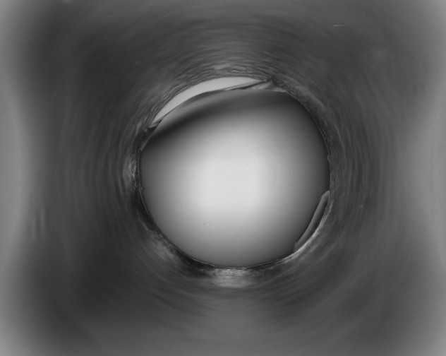 X0000086330192200704202049