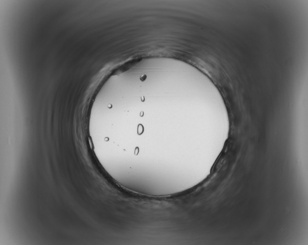 X0000086330193200704202048