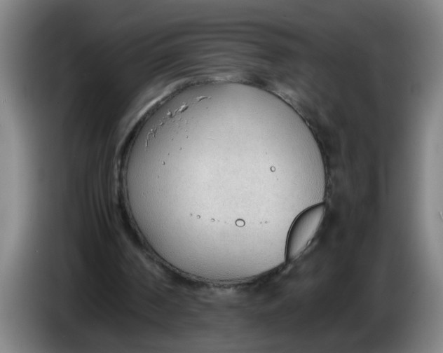 X0000086330194200704202048