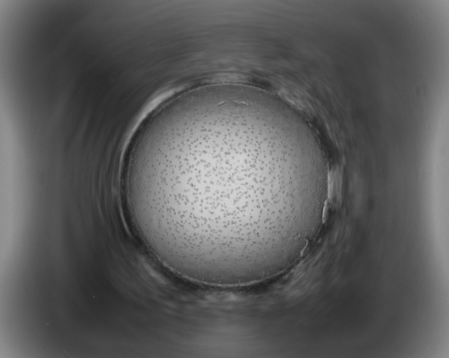 X0000086330195200704202048