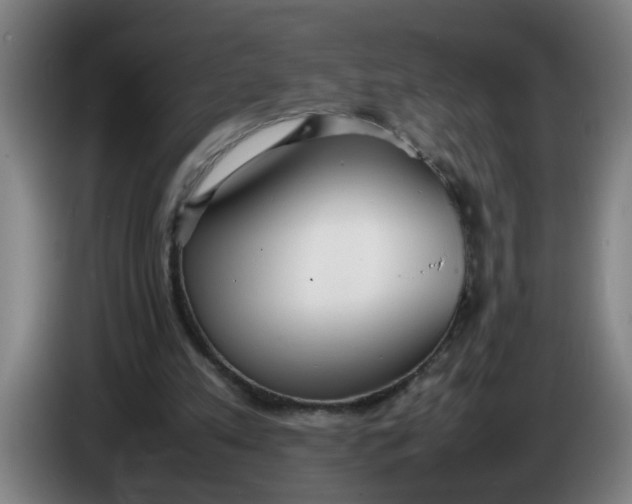 X0000086330197200704202048