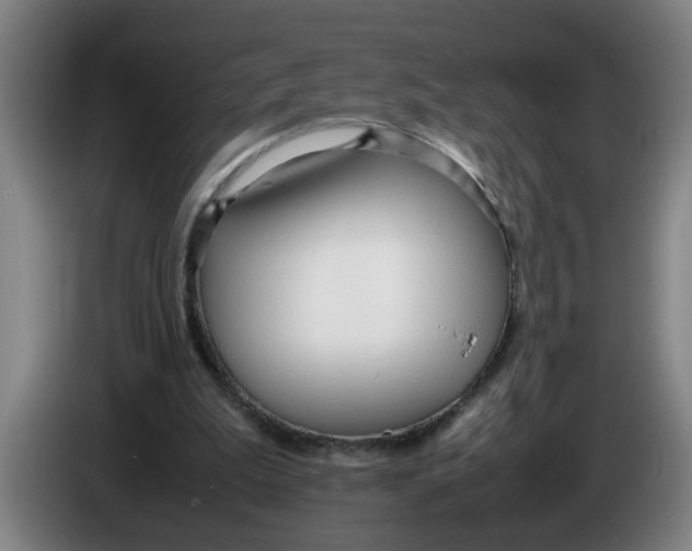 X0000086330199200704202048