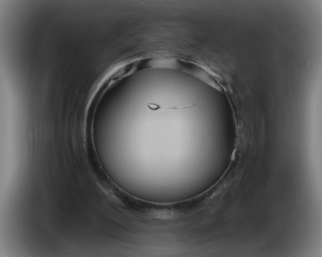 X0000086330200200704202048